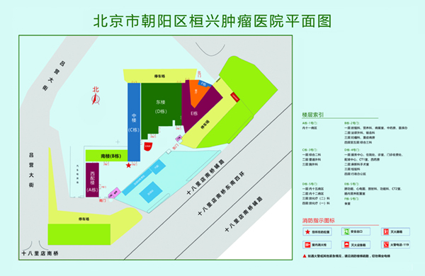 好屌妞操在线视频北京市朝阳区桓兴肿瘤医院平面图